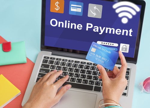 netcat solutions online payment