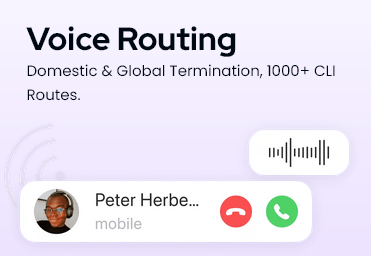 Voice routing & voice termination