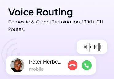 Voice routing & voice termination
